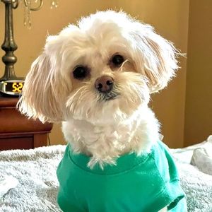 Meet your Posher, Leighanne